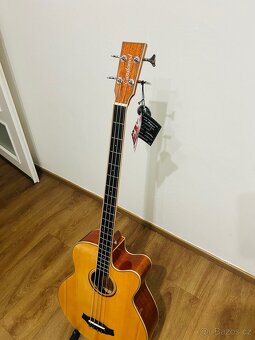 Tanglewood TW 7-AB CE NA - 3