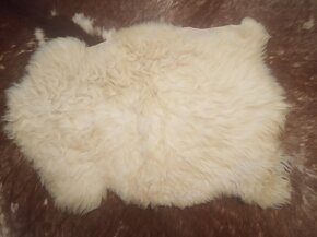Ovčí kožešiny - 3