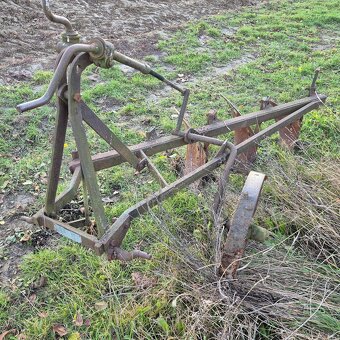 Pluh tříradličný - 3