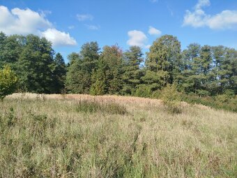 Louka Lukavec u Pacova - 3