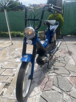 Manet Korado - 3