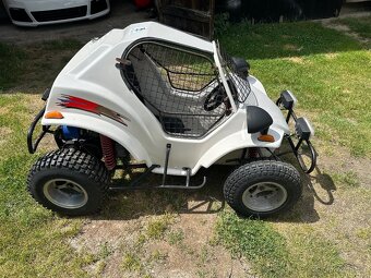 Na prodej Buggy - 3