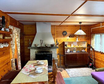 Prodej chaty – Permoník u Týna nad Vltavou (50 m od Lužnice) - 3