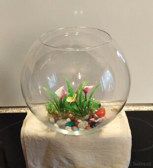 Prodám akvárium skleněná koule 7,5 L - 3