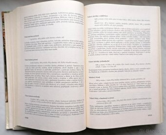 Kuchařka naší vesnice - 1977 - 3