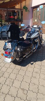 Suzuki VL 800 - 3