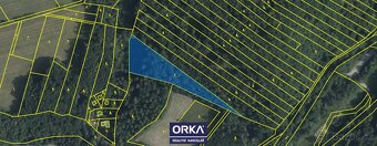 Prodej lesy, 6 823 m2 - Bělkovice-Lašťany, ev.č. OEH-P2267 - 3