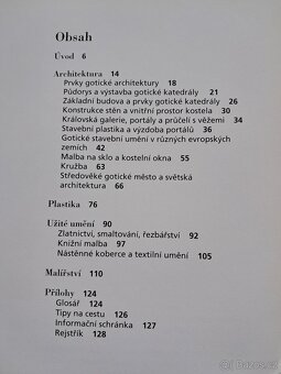 Umění gotiky a románské 2 knihy - 3