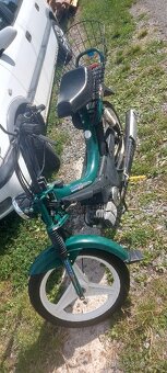 Manet korado babeta moped - 3