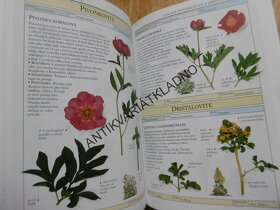 Příroda v kostce: Hmyz, Houby, Savci, Rostliny Středomoří - 3