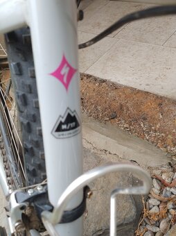 Specialized 29 - 3