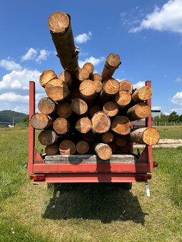 Vlek na dřevo - 3