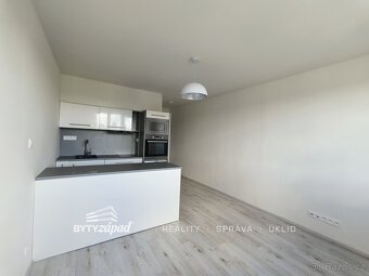 Pronájem, Byty 1+kk, 22m2, Plzeň-Doubravka, ev.č. yIVB8494 - 3
