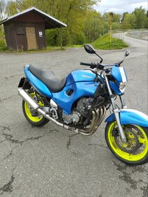 Suzuki gsf600f - 3