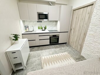 Prodej ubytovacího zařízení, 62 m2, Praha 2 - Nové Město, Ty - 3
