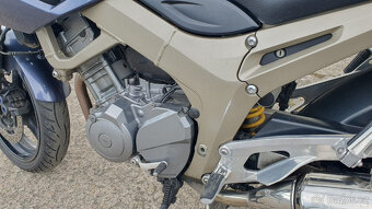 Yamaha TDM 900 - 3