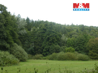 Prodej lesa, 26000 m², Vysoká Srbská, okres Náchod - 3