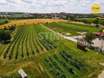 Pozemek pro vinný sklep s ubytováním a  s vinicí,  B, 132041 - 3