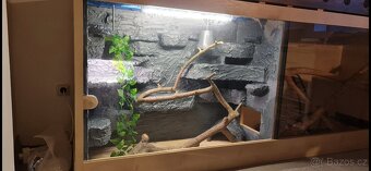 Terarium 250cmx101cmx61cm - 3