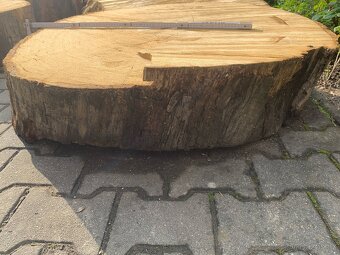 Dubová kruhová deska, příčný řez, průměr 100cm - 3