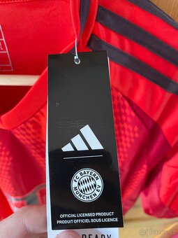 Dres FC Bayern 2024/25 - 3