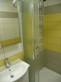 Pronajem byt 1+1, 35m2 - 3