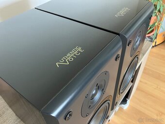 Authentic Voice - Magic 220 - 3