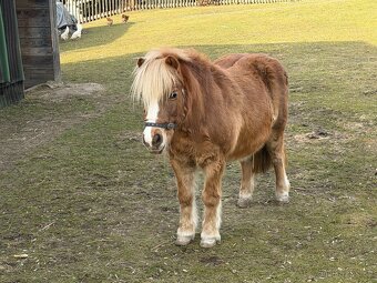 Prodej Kobylky - 3
