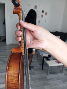 Housle 4/4 Nikolas Amateus - 3