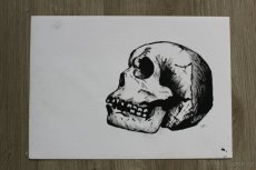Malba Lebka - 3