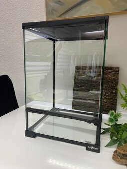 Terárium - 3