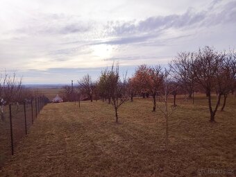 Prodej zahrady u Uherského Hradiště 1297 m2 - 3