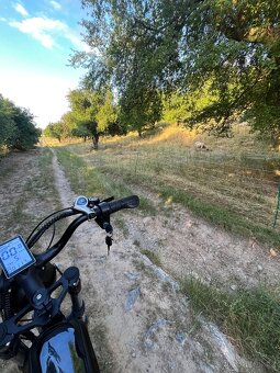 Ridstar q20 e-bike - 3