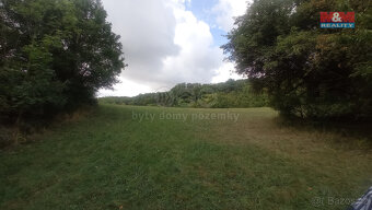 Prodej louky, 16692 m², Jenčice - 3