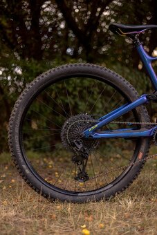 Specialized Stumpjumper CF Comp - 3