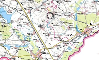 Sady, vinice, prodej, Čejkovice, Hodonín - 3