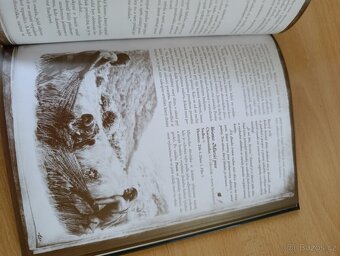 Dračí doupě II – Pravidla + Bestiář + kostky + figurky - 3