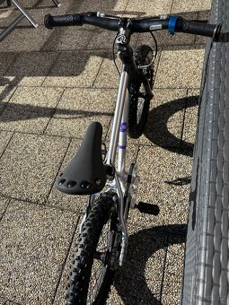 Kolo Early rider trial 16 - 3