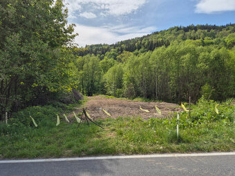 Prodej pozemku ve Vernířovicích (14 183 m2) - 3