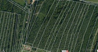 Prodej lesa Dražíč 5161m2 - 3