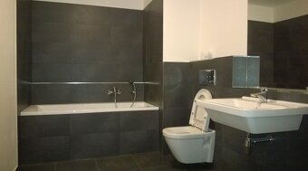 1+KK, 42 m2, Jírovcova - 3
