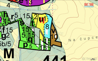 Prodej les 11445 m2, Studnice - 3