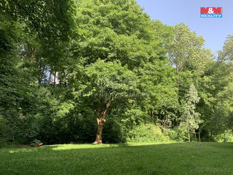 Prodej lesa, 9272 m², Třinec - 3