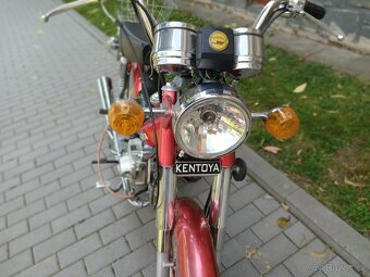 Kentoya Twin Cup ( Betka ). - 3