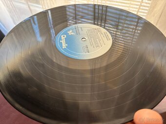 The Fabulous Thunderbirds — Girls Go Wild. LP - 3