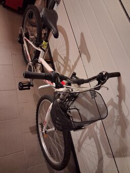 Dívčí kolo DEMA 24 - 3