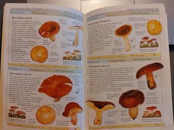 Houby-Thomas Lassoe - 3