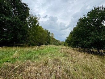Prodej, pozemku-ostatní plocha, 3072 m2, Karviná - Staré Měs - 3