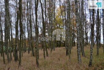 Prodej id 49/100 pozemku 11599m2 Stráž pod Ralskem - 3