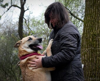 BALIANA K ADOPCI - PŘÁTELSKÉ ZLATÍČKO - 3
